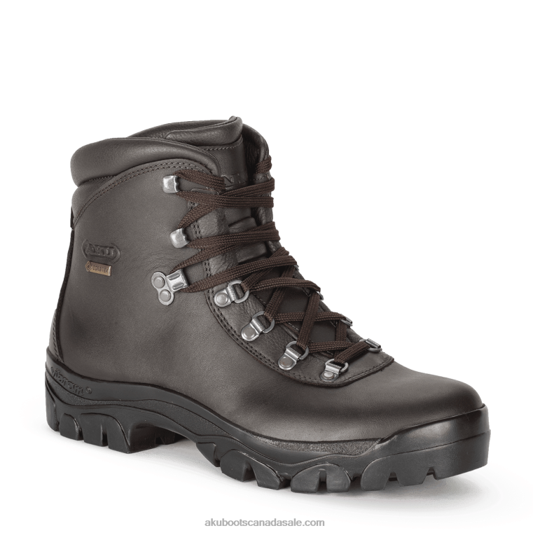 Men AKU Alpen II GTX Brown X422R25