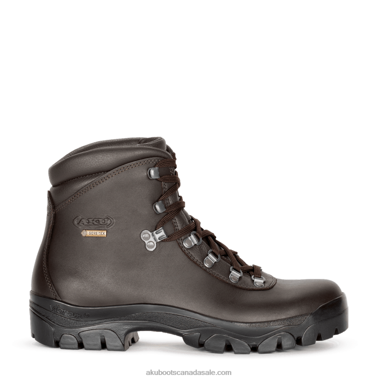 Men AKU Alpen II GTX Brown X422R25
