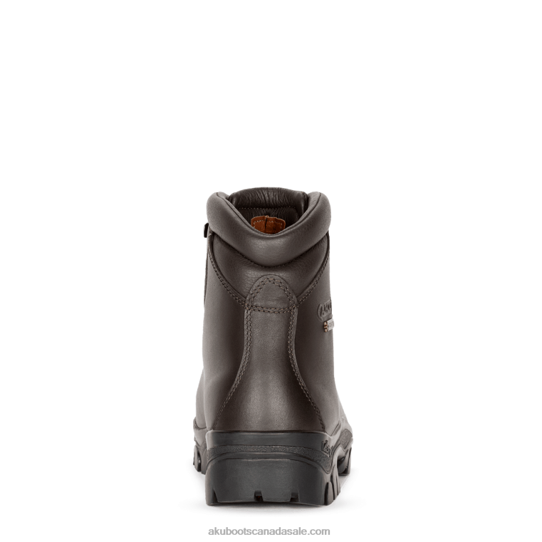Men AKU Alpen II GTX Brown X422R25