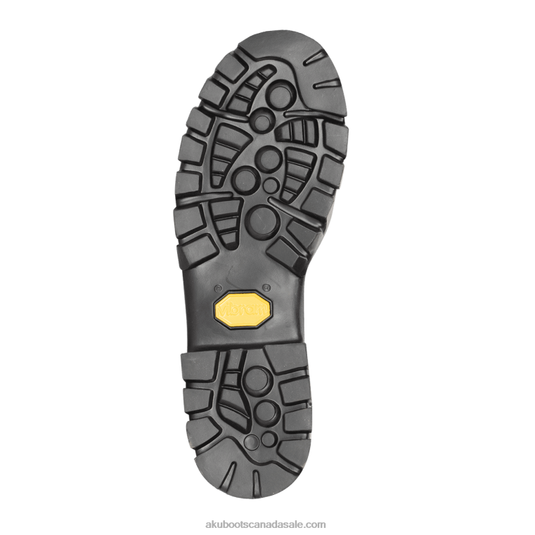 Men AKU Alpen II GTX Brown X422R25