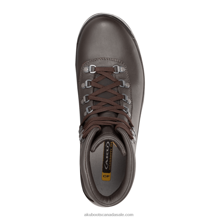 Men AKU Alpen II GTX Brown X422R25